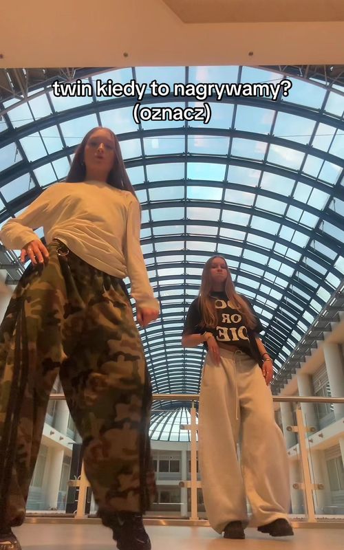 oznacz kogo trzeba 🫣 // @roksi // #repost #relateable #twin #dance #viral 