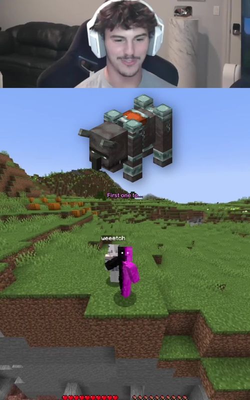 Minecraft speedrun #Minecraft #minecraftmemes #minecrafter 