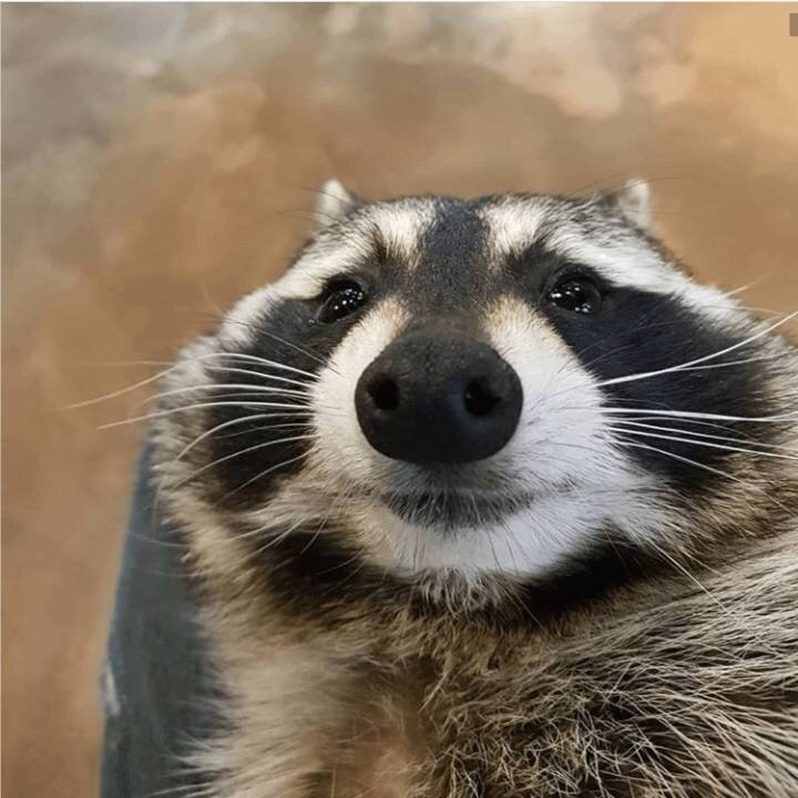 Mine.g