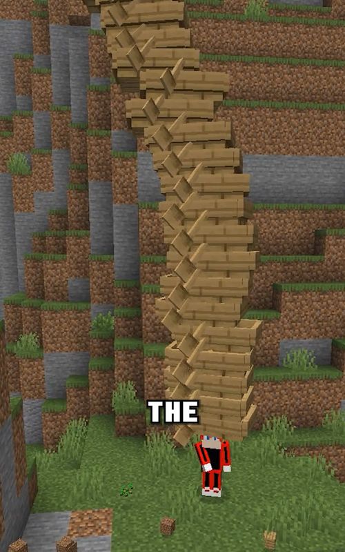 Minecraft tips you may not know day 20! #Minecraft #minecraftupdate #viral #minecraftbedrock #gaming 