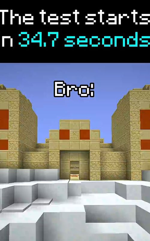 Smart Bro #Minecraft #speedrun 