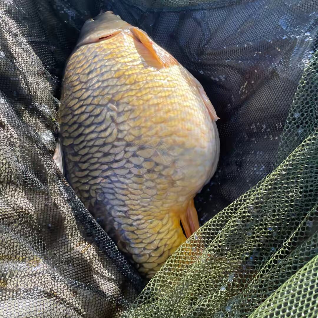 Carpfishing_JB