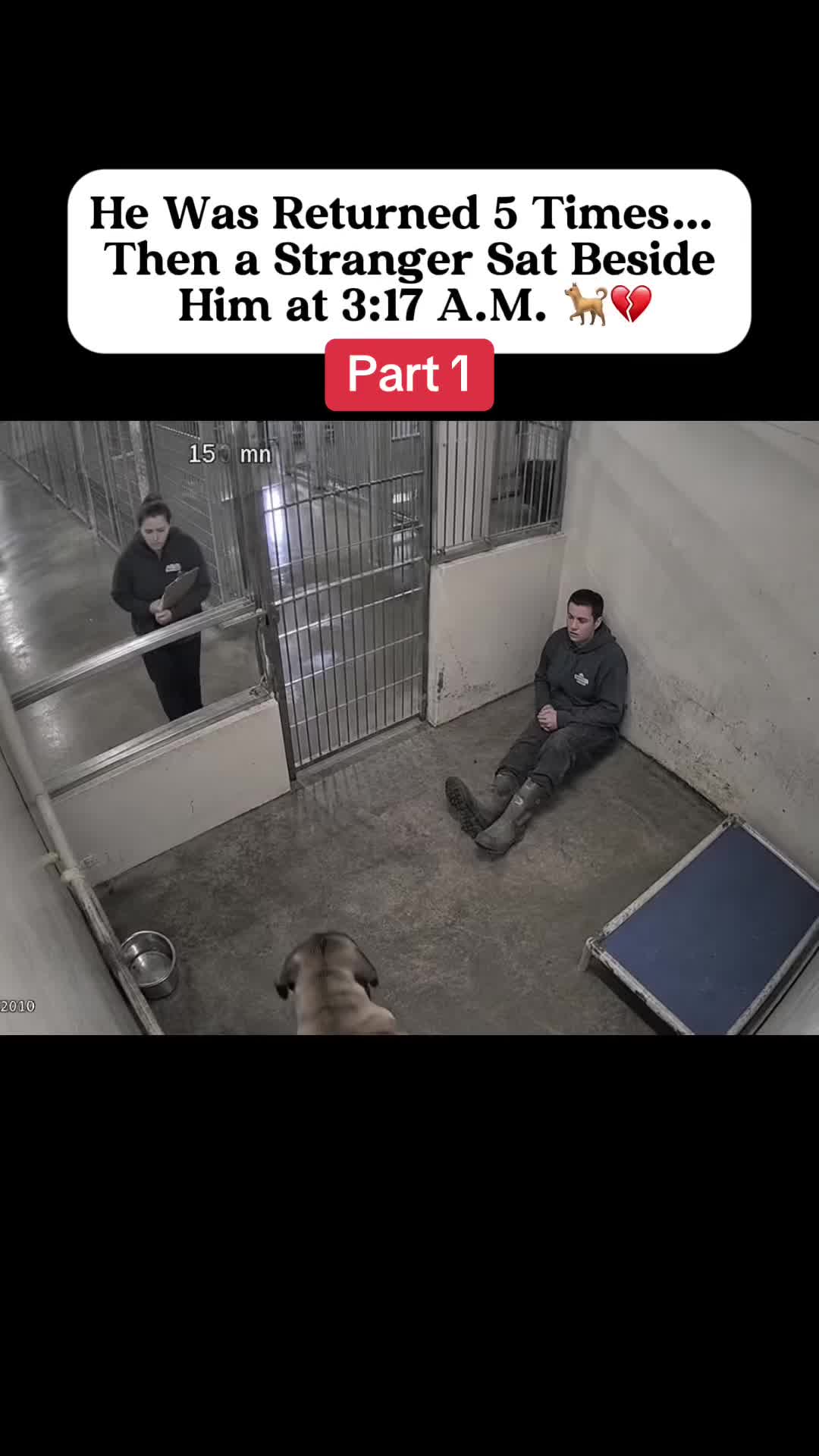 #story #storytime #dogstory #dogtrainingtips 