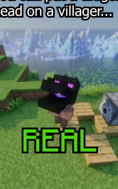 The last one is INSANE. Minecraft myth busting #Minecraft#trending#foryou#viral#mythbusting