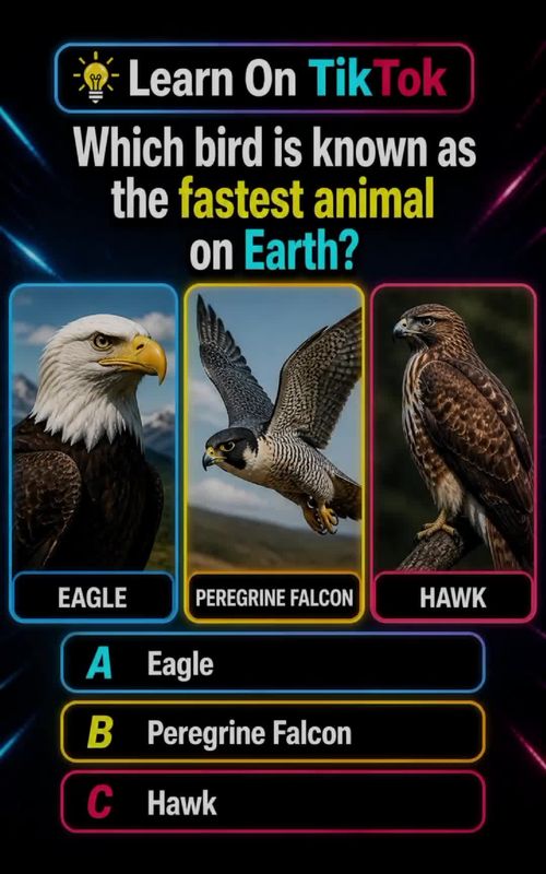 #TikTokLearningCampaign #todayilearned #LearnOnTikTok #DidYouKnow #Science  Think You Know The Answer? Prove it 