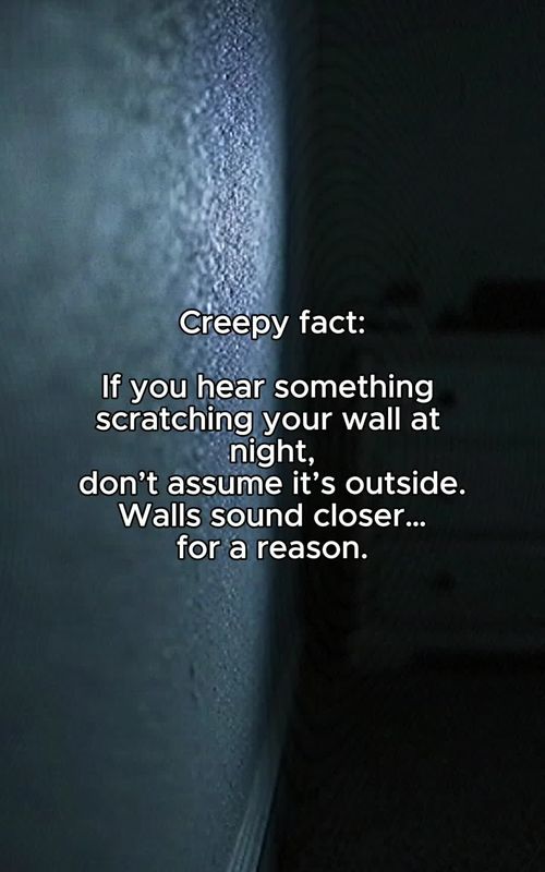 #scarytok #creepy #creepyfacts #facts #scary 