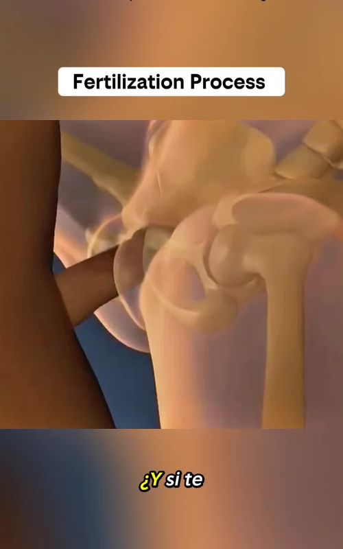 Medical 3D visualization for anatomy education.” Educational medical 3D animation For learning purposes only Non-graphic • Not real footage #medicaleducation #3danimation #anatomylearning #sciencevisuals #healthknowledge 