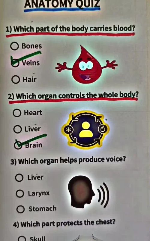 #fyppage #fypppp #fypp #triviagame #triviachallenge #trivia #quizlet #quizgame #quizzes #quizz #quizshow #quizchallenge #quiztime #quiz 