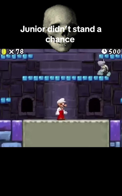 Been speedrunning all the new super Mario bro games recently #foryoupage #mario #speedrun #ds #spinningskull 