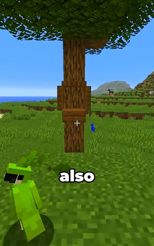 3 Illegal Minecraft Build Hacks You Need! ✨😱 #Minecraft #minicraftbuild #usa #gaming #fyp 