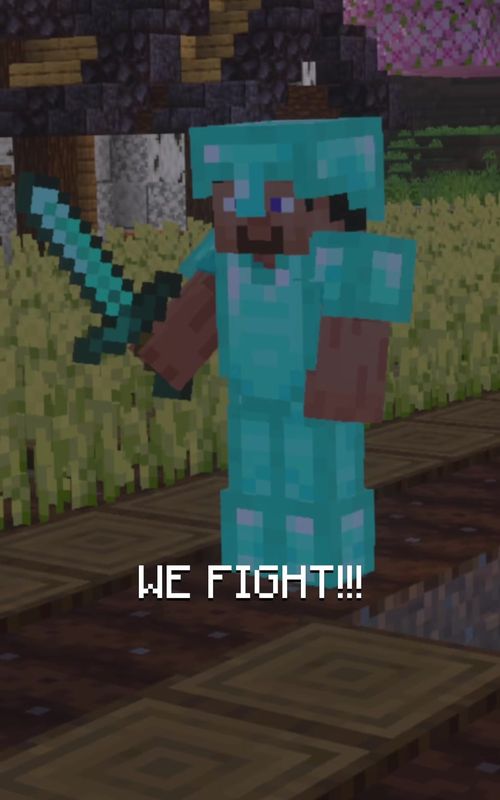 I WILL CONQUER THE NIGHT    #Minecraft 