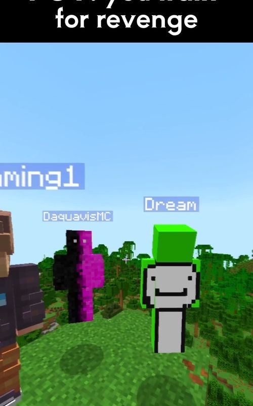 Minecraft revenge