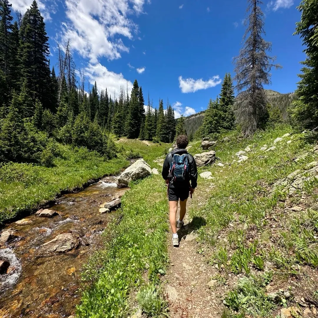 Leafy Peaks