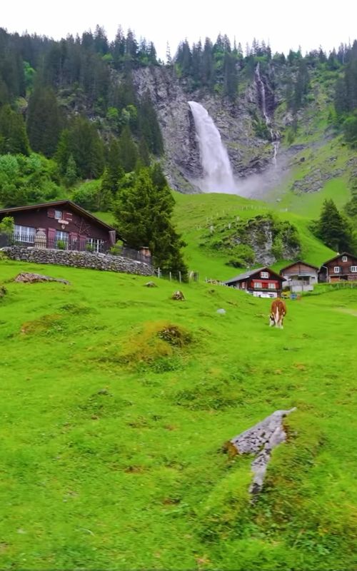 Switzerland 🇨🇭🏔️🌲 #nature #Outdoors #mountains #explore #switzerland 