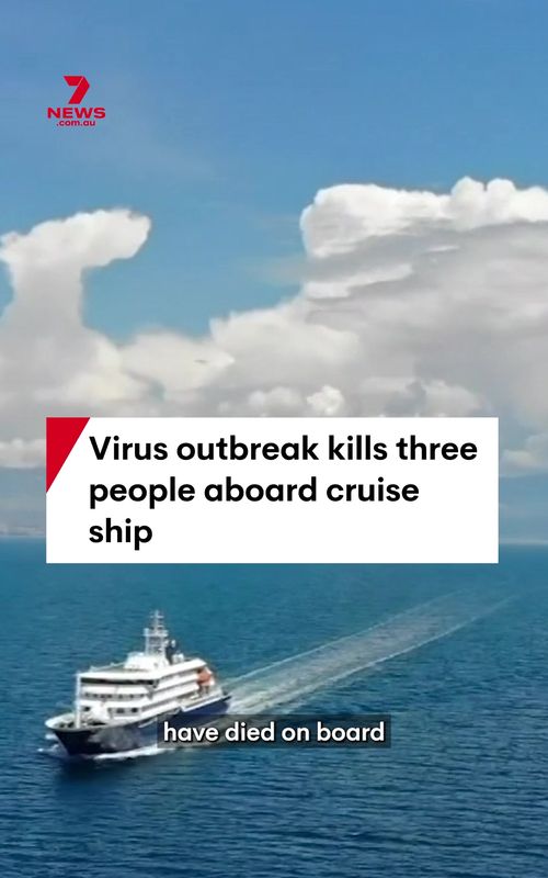 Three people have died on a cruise ship in the Atlantic travelling from Ushuaia in Argentina to Cape Verde. The World Health Organisation said on Sunday, one a confirmed case of hantavirus; an illness usually transmitted to humans from rodents. #cruiseship #hantavirus #travel #worldhealthorganisation