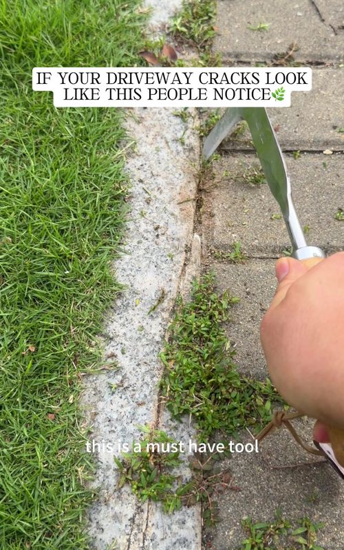 Tired of Driveway Crack Weeds? Weeding Warrior Fixes It Fast 🌿 Half Price Now!#gardentools #weeding #gardeninghacks #MustHaveGadget #SummerVibes 