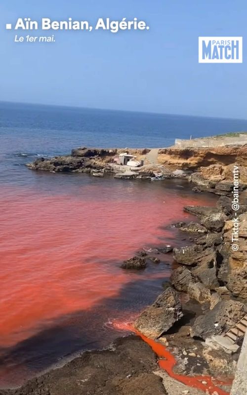 Mystérieuse eau rouge en Algérie, une enquête est en cours. Sur la plage du Cimetière Aïn Benian, à l’ouest d’Alger, de nombreuses vidéos ont alerté les autorités, après une coloration anormale de l’eau. La direction de l’environnement de la wilaya d’Alger a annoncé le lancement d’une enquête suite à cette pollution inquiétante. #algerie #alger #ainbenian #pollution #sinformersurtiktok