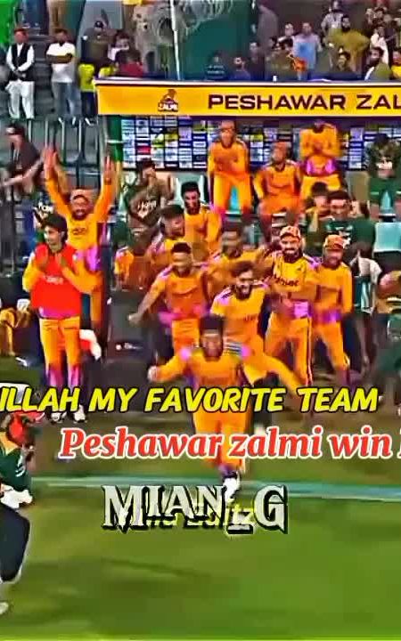 Peshawar zalmi win PSL 11 final match today 💯👀  #psl11 #foryou #foryoupage #fyp #growmyaccount #growfollowers 
