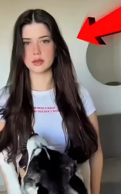 A Surprising Moment When She Recognized Her Dog & Beautiful and Loving Dog 🐾✨#pet #petlover #doglover #foryoupage❤️❤️ #fyp #youpage #unfreezemyaccount #1millionviews #fyp #unitedkingdom
