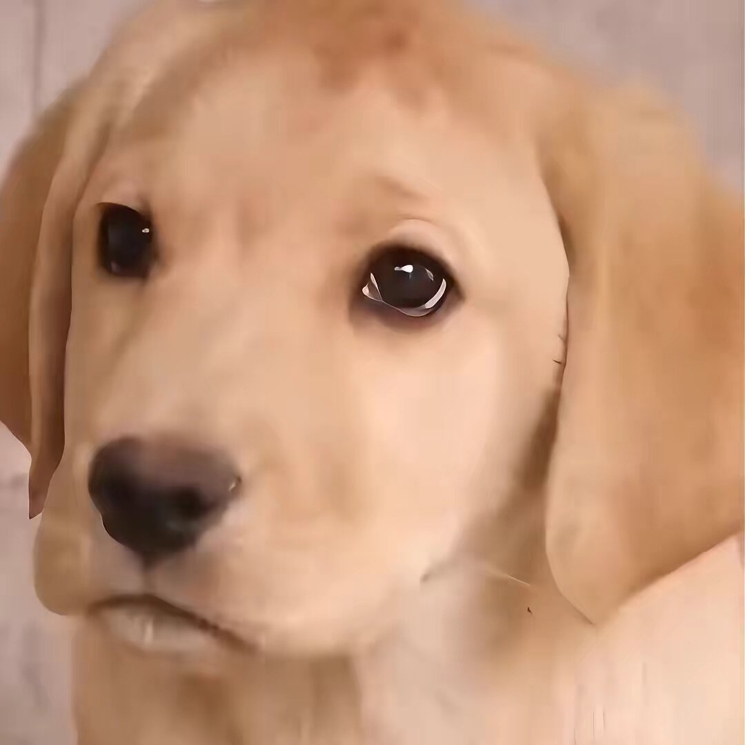 Perfectly