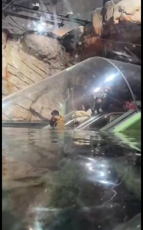 #creatorsearchinsights ဒီတခေါက်ရေအောက်သွားကြမယ်#aquarium #beautiful #fyp #foryoupage 