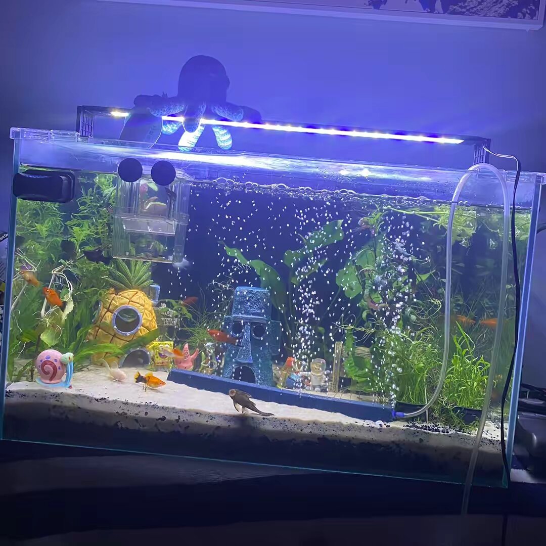 cj.aquakeeper