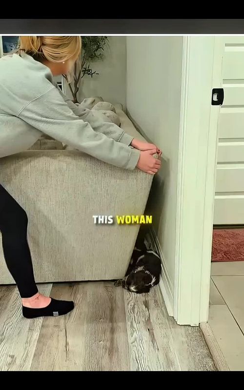 How Are There SO Many Puppies Here? 😳🐶 #fyp  #animal  #creatorsearchinginsight  #foryoupage❤️❤️  #viralvideos 