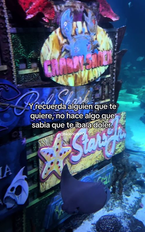 Cómo estás?  #mujereslatinas #aquarium #frasesdeamor #compartir #fyppppppppppppppppppppppp 