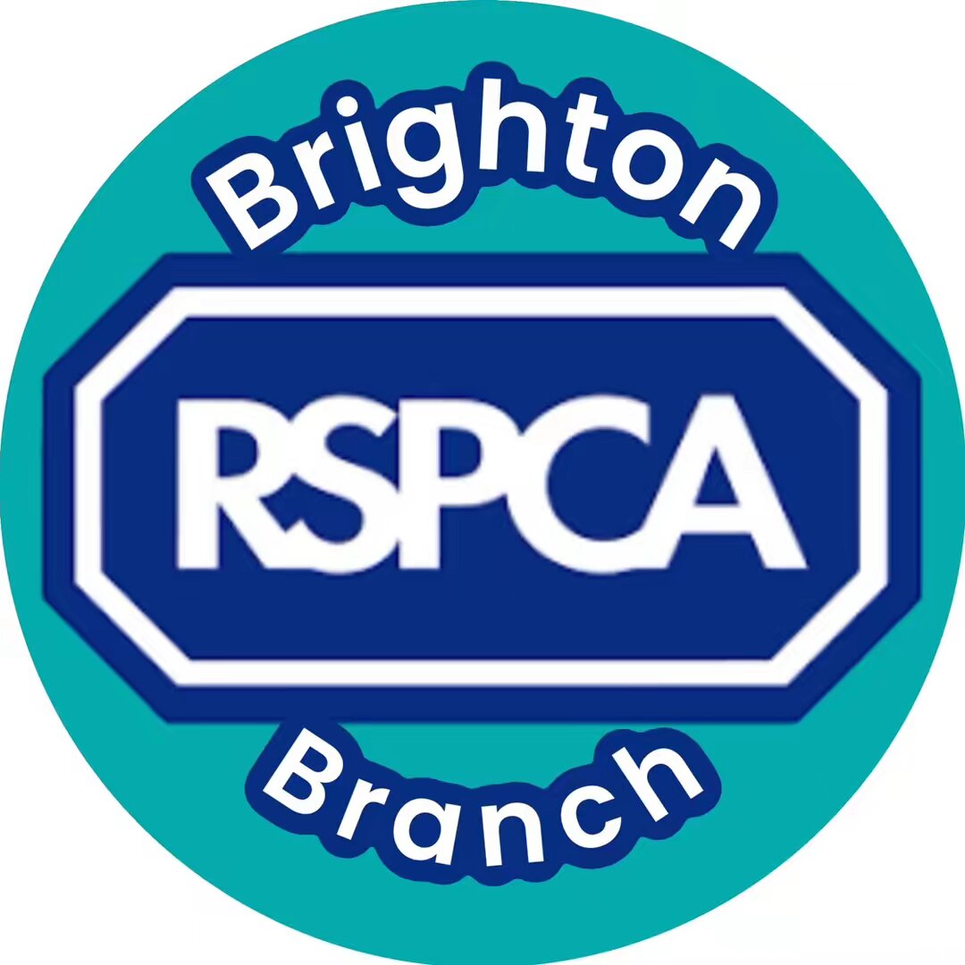 RSPCA brighton