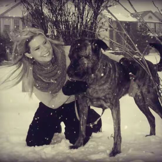 Rescue Dog Army