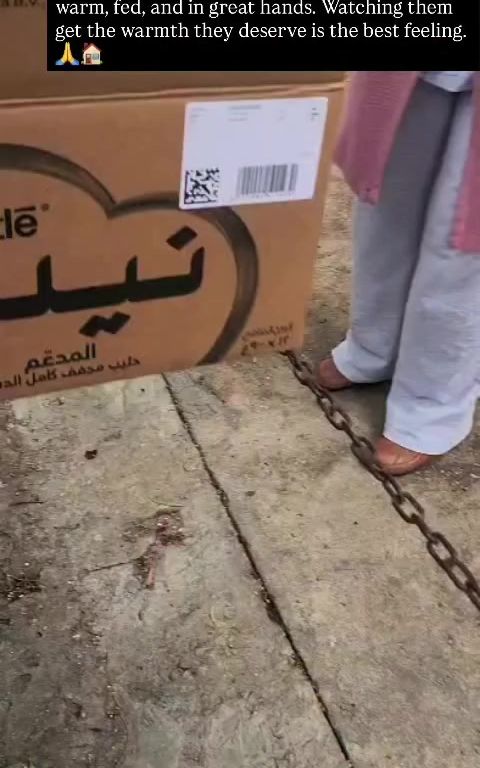 Update: The kittens found a temporary home! They are warm, fed, and in great hands. Thank you to everyone for the support! 🐱✨#animalrescue# #savetheanimals #shelterdog #animalsinneed#kindnessmatters💔🙏😿🇱🇧🇱🇧 