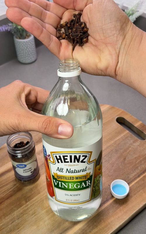 Mix cloves with vinegar and you'll never buy cleaner again #cleaning #howto #tipsandtricks