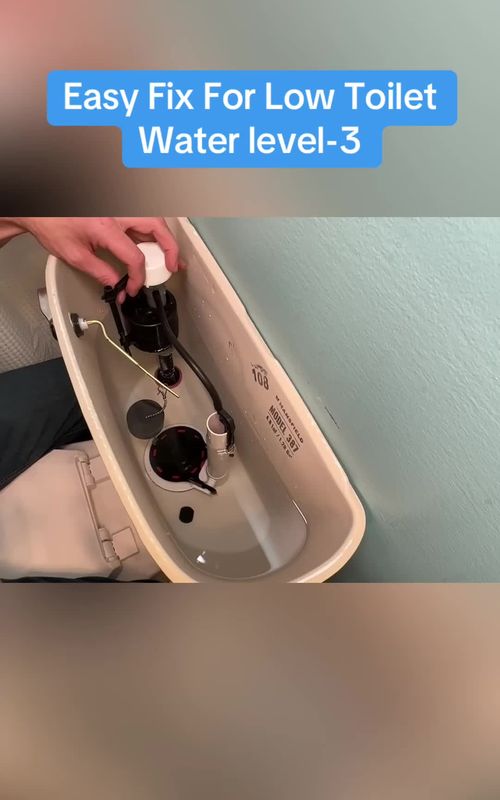 Easy Fix For Low Toilet Water level-3