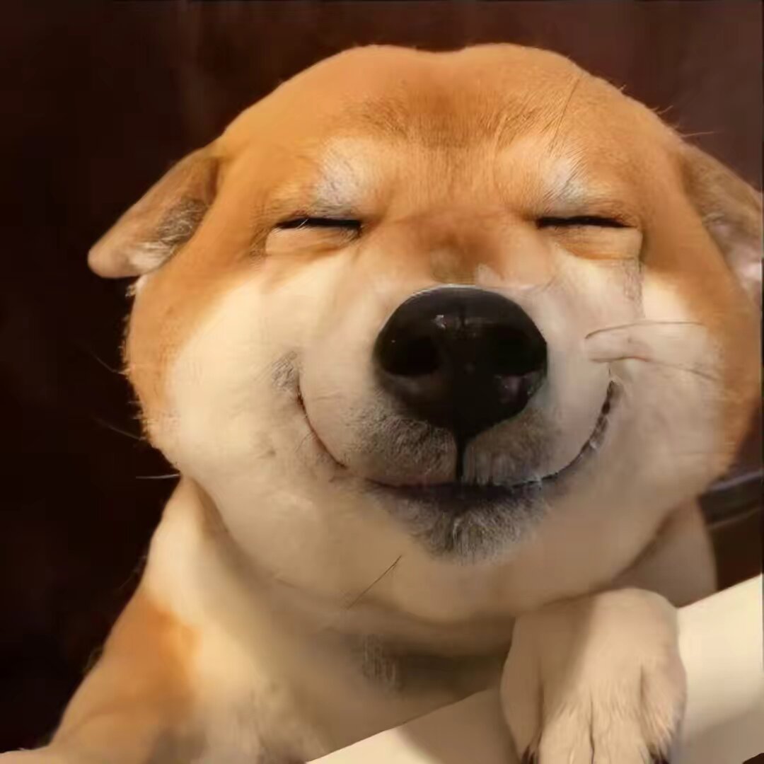 lhyfhf