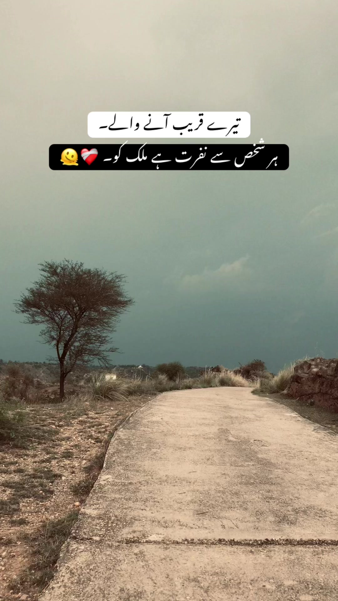 تیرے قریب آنے والے ہر شخص سے نفرت ہے ملک کو۔❤️‍🩹🫠#fyp #fyppppppppppppppppppppppp #viral #vedio #ملک_بادشاہ🚩✨ 