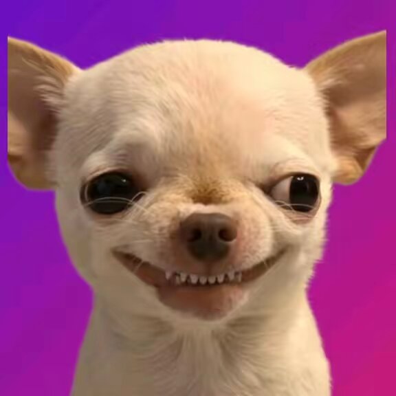 Evildogi