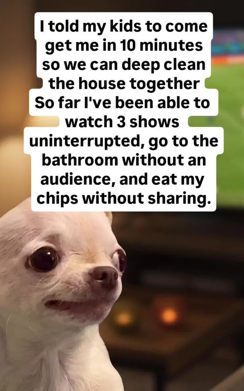 😂🤣 Daily Memes (dark & relatable) 🐶 EVIL DOG — Official Meme Page 😈 Pure Satire — just jokes 👕 EVIL DOG Merch: hoodies, tees & more ⬇️ Shop & Link in my Bio: evildogofficial.com
