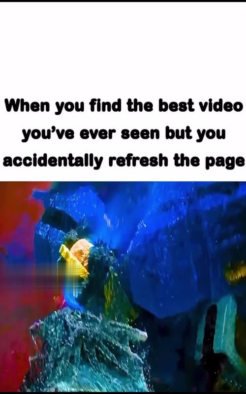 One of the WORST feelings oat 😭🙏 #funny #funnyvideos #funnyvideo #funnymoments #funnytiktok #funnyvideos😂 #funnytiktoks #funnytiktokvideos #meme #memes #memestiktok #memesdaily #memetiktok #dailymeme #viral #viralvideo #viraltiktok #viral_video #viralvideos #virall #viralvideotiktok #viralll #virallll #virallllllllllllllllllllllllll #viralllllll #viralllll #laugh #laughoutloud #laughing #laughs #makethisviral #makethisgoviral