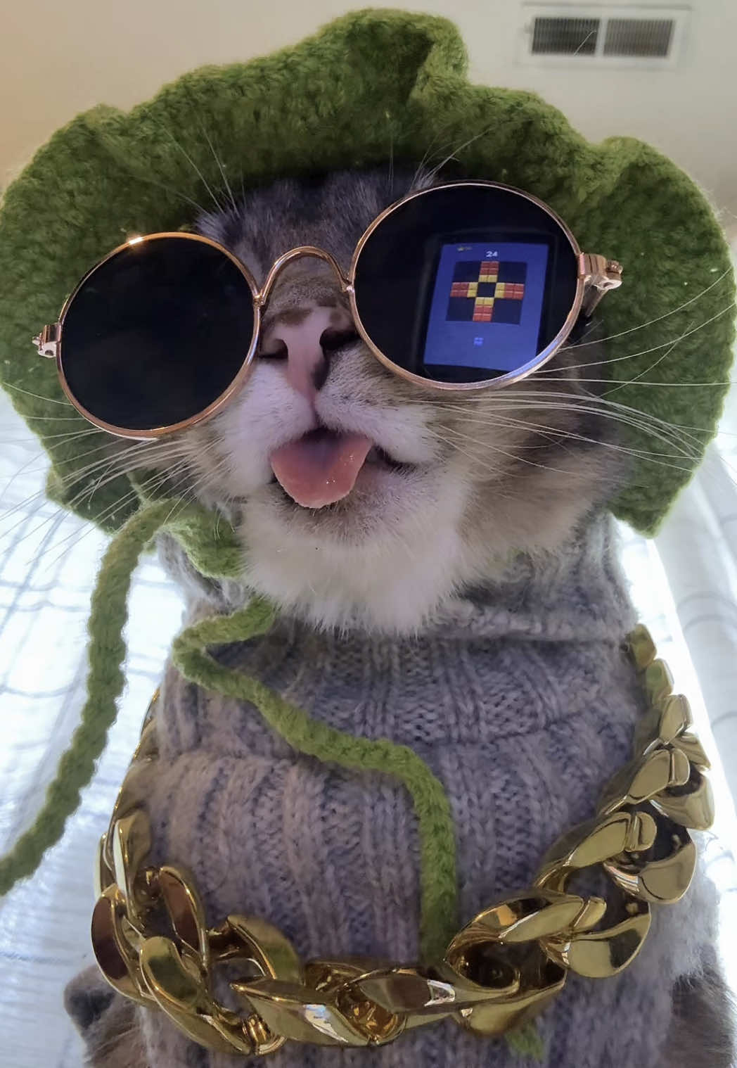 #blockblast #hungrystudio #rigbycat #catsoftiktok #catcontent #fyp 