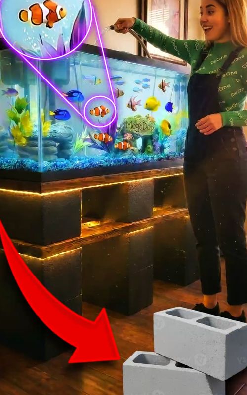 Build This Aquarium Stand in Minutes 😍🐠 | Easy DIY Hack#trending #fyp #fypシ゚viral #fypシ #viral 