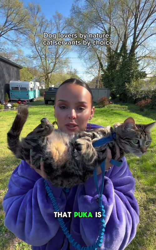 It might be time to get our cat a dog… #pets #cats #funny 