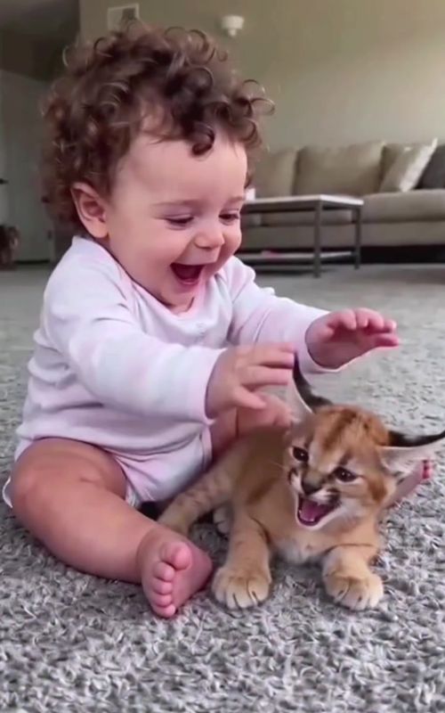 #funnyvideos #baby #pets #funny #funnypets 