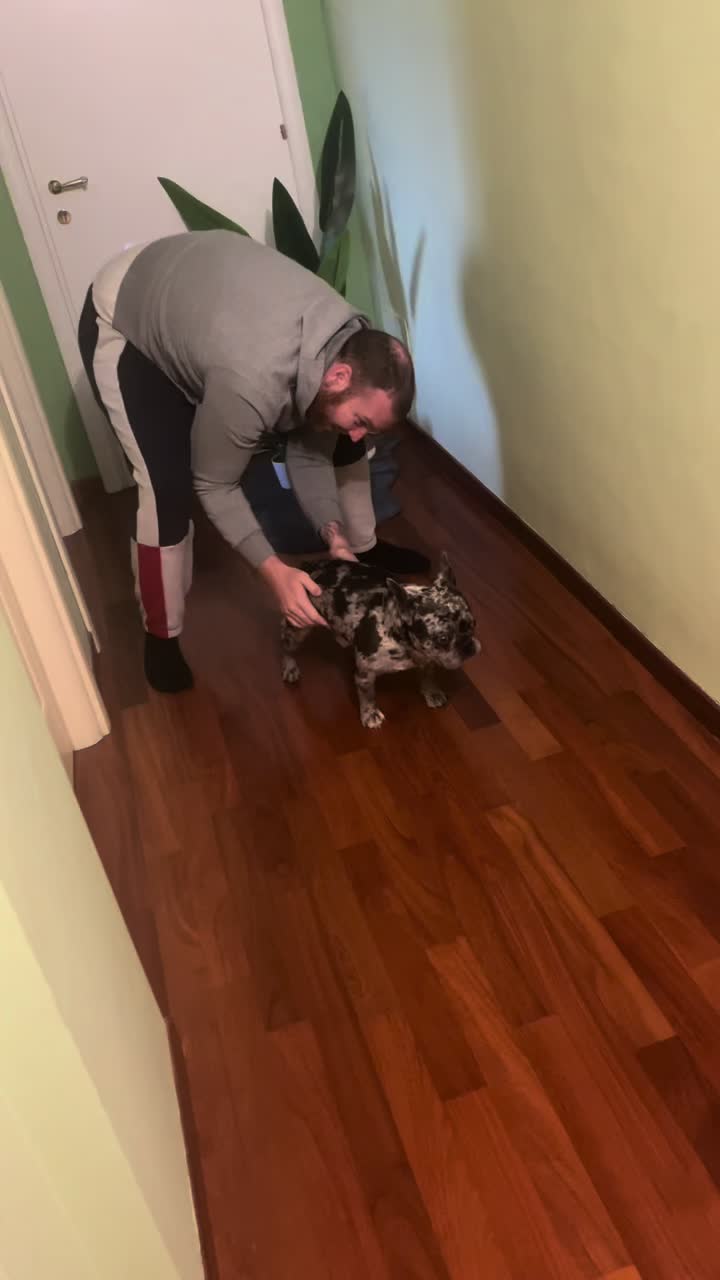When you fail the start on mario kart #bulldog #dog #ares #viral 