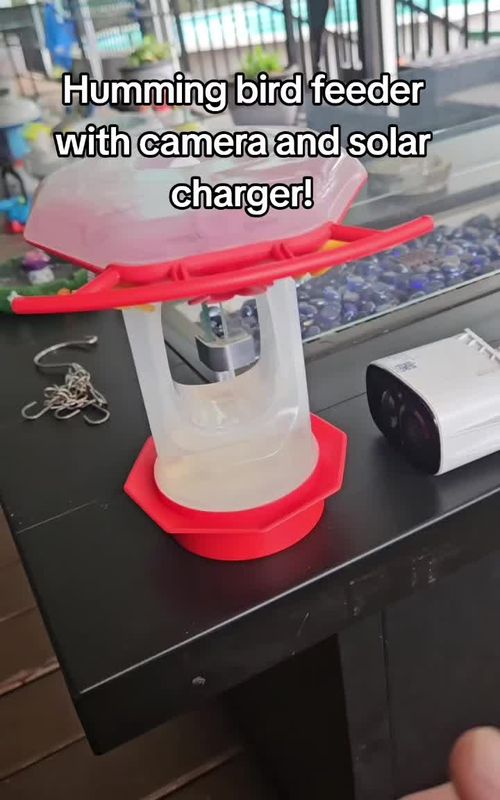 Look at this cool shit I found! This household gadget will not only attract beautiful humming birds to your home, it will allow you to look at them even when you're not home! it can also double at a home security camera. and it even comes with a solar panel so you literally never have to charge it! for less than the price of a home security camera you get so much more!  #homegadgets #homefinds #hummingbird #coolshit 