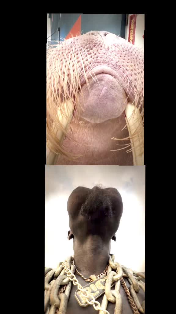 viral video is here enjoy the show. #trends #viral #foryoupage #viraltiktok #talentotiktok 