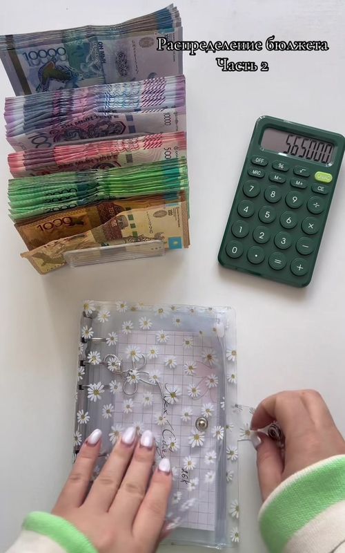 Budget allocation #cashstuffing#financial#control