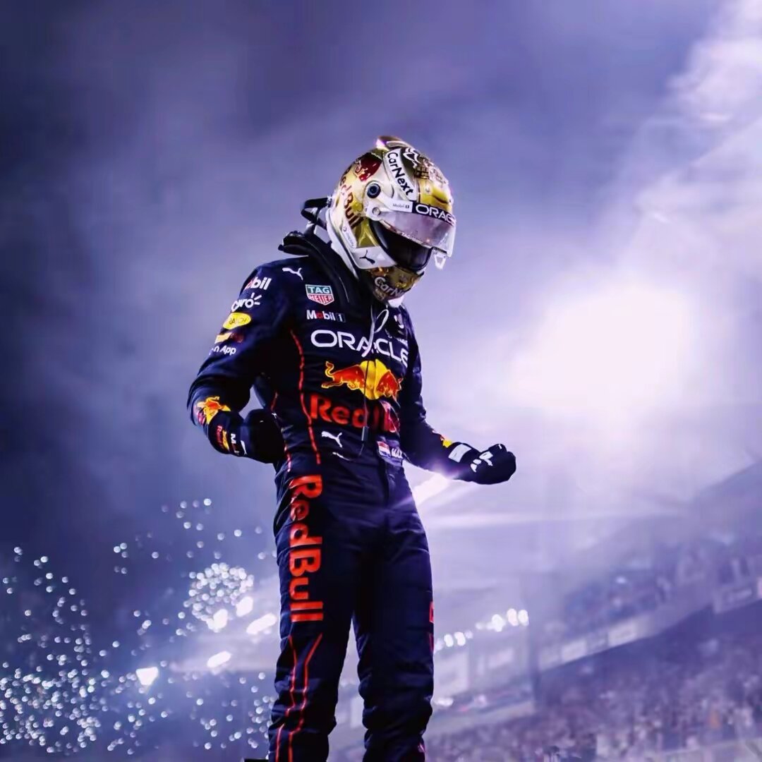 verstappen_.form2015
