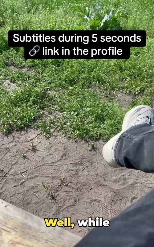 #smm#subtitles#SaaS#java #subtitles